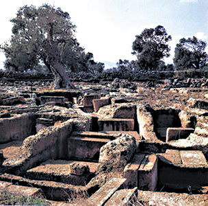 La necropoli