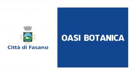 oasi