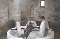 Museo dell'olio di oliva