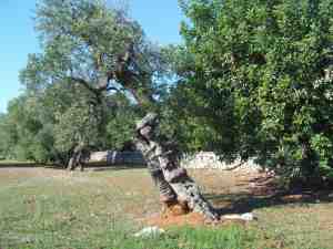 albero